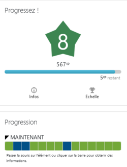 Elements de ludification