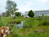 P1140590