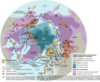 Les mondes arctiques, une « nouvelle frontière » sur la planète