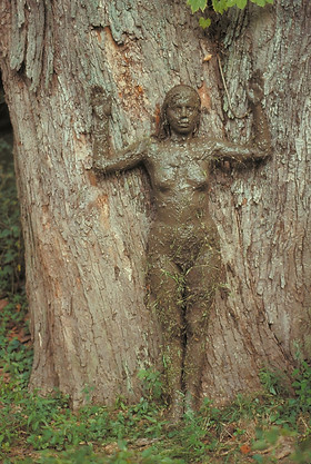 Ana Mendieta, Tree of Life, 1976, photographie couleur, 50,8 x 33,7 cm, Courtesy Galerie Lelong, New York, © The Estate of Ana Mendieta Collection