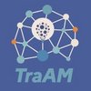 Travaux Acad&eacute;miques Mutualis&eacute;s